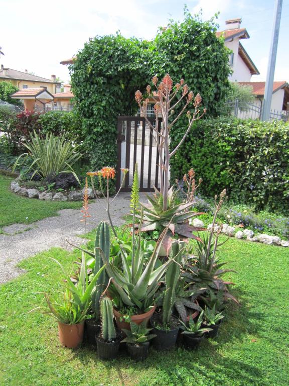 B&B Ponte Marchese room 5
